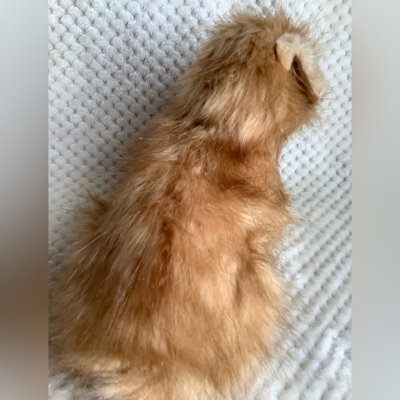 HANSA Toy Norfolk Terrier Realistic Dog Plush Stuffed Animal Toy Posable Legs - Picture 7 of 16